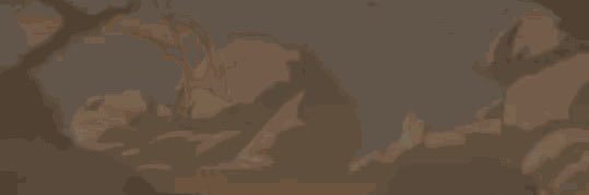 shoko banner