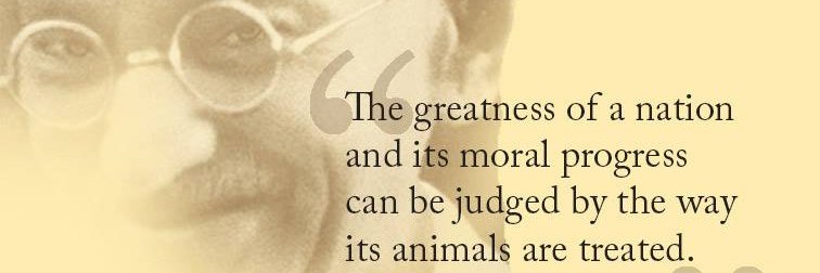 veganshikha's profile banner image