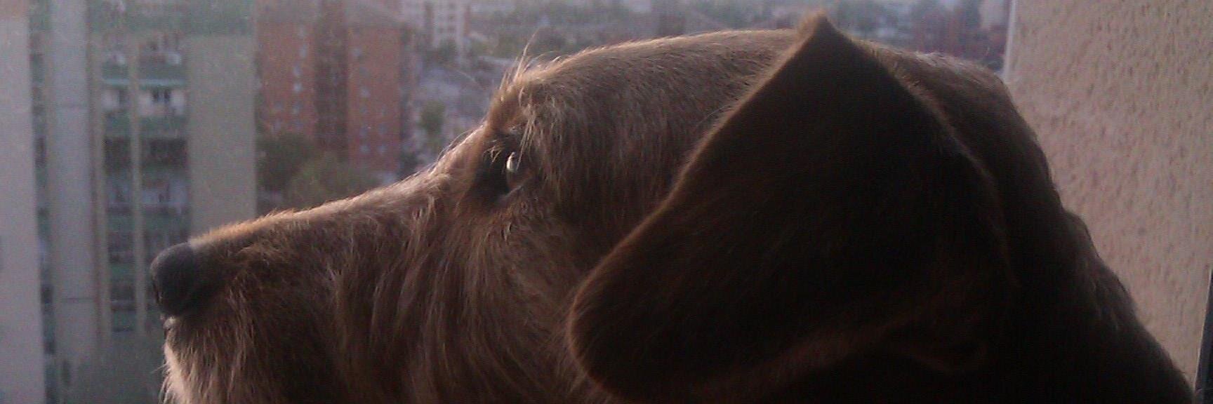 AbrahamHHE's profile banner image