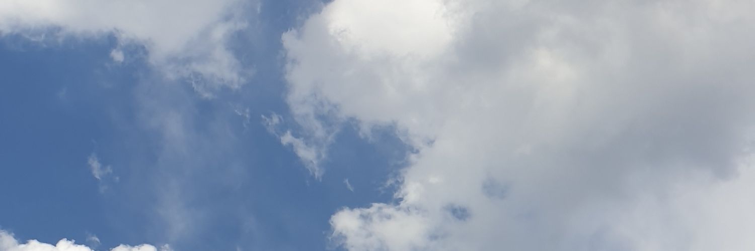 Nalaspell banner