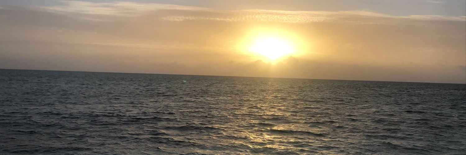 Bhavana Pothuri banner