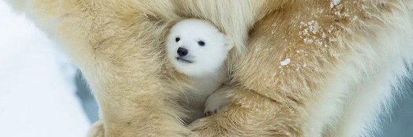 mishannn1 Profile Banner