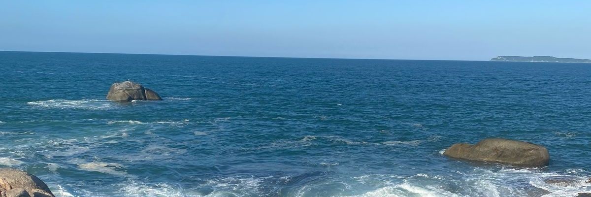 BeaRol's profile banner image