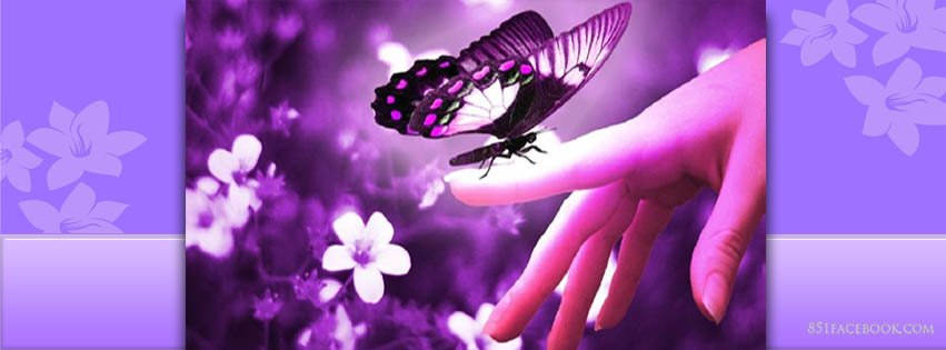 NickyBennett82's profile banner image