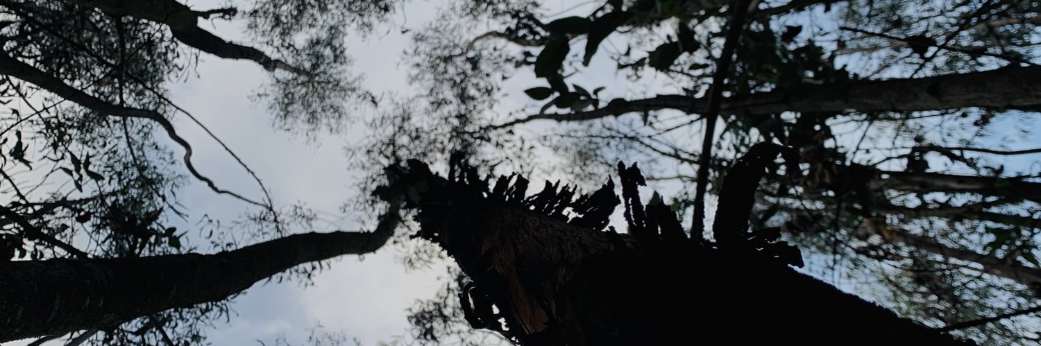 Nicolerincn8's profile banner image