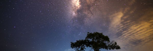 AudreDongmo Profile Banner