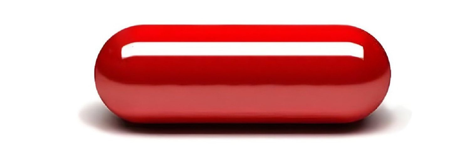 The Rubber Duck ™'s banner
