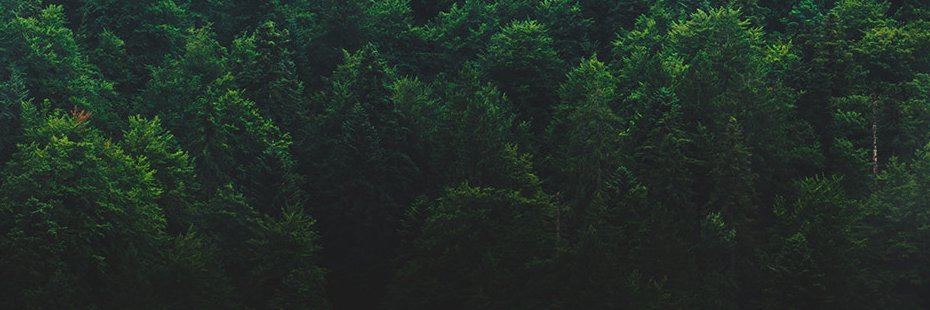 AGAPE (On Hiatus) banner