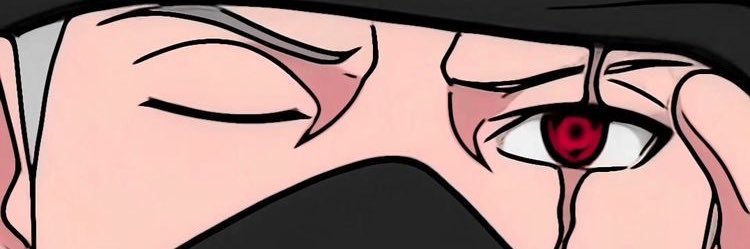agushag2's profile banner image