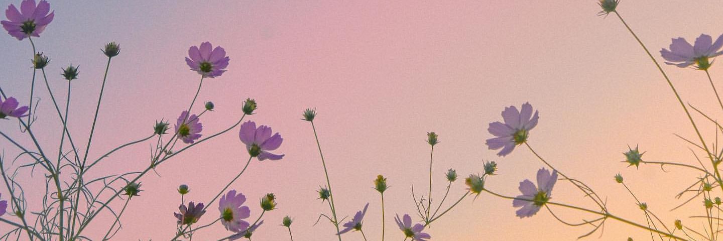 flower banner
