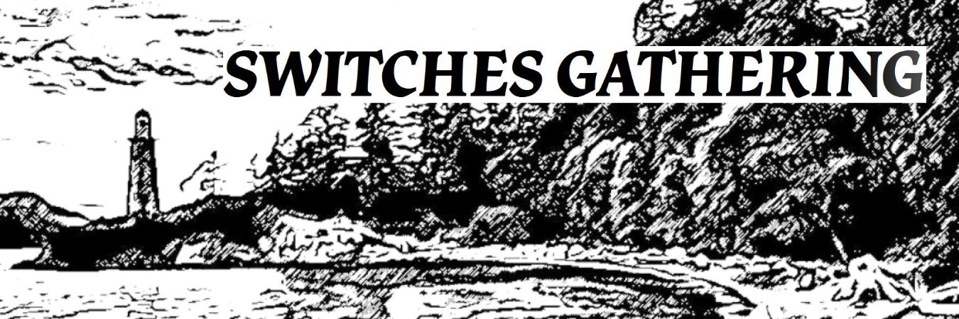 mfswitches's profile banner image
