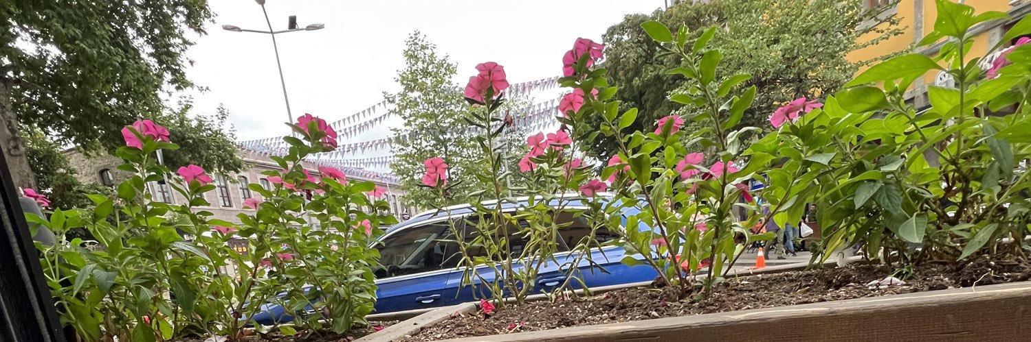 multiflower99's profile banner image
