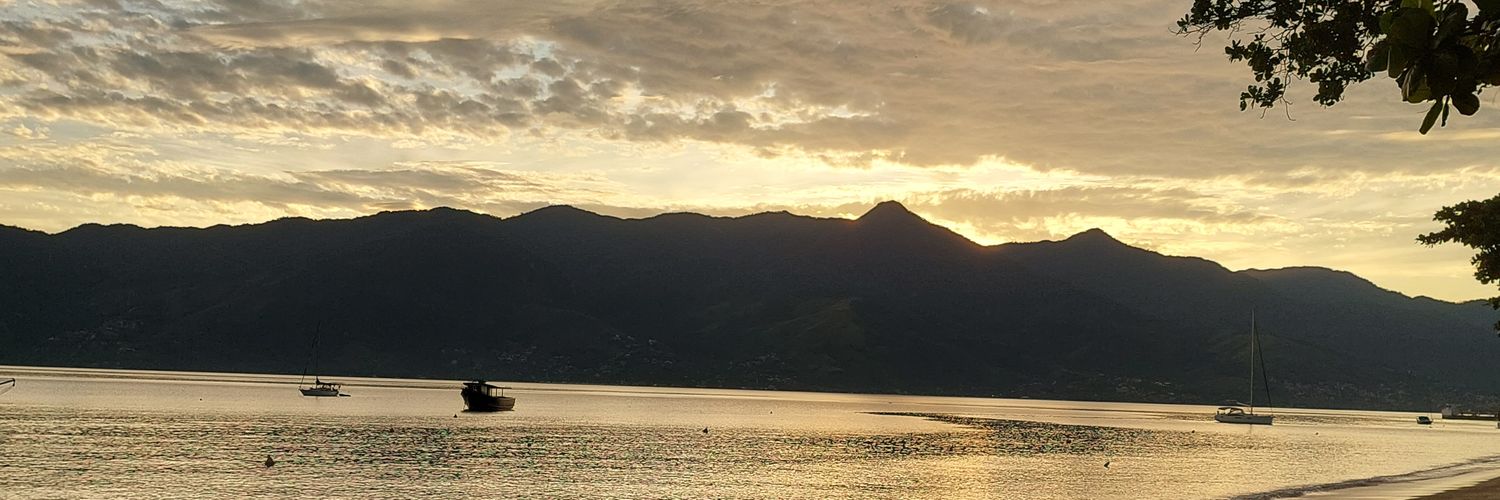 Fabi Domato banner
