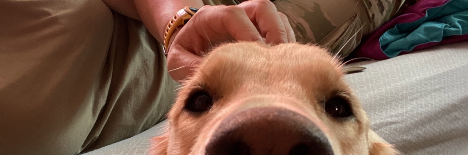SteppBeth's profile banner image