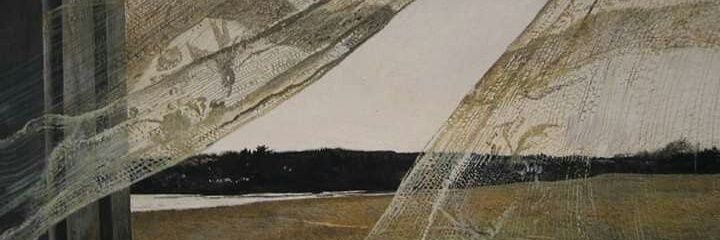 Titti 🌱⊂(•̀﹏•́⊂ )∘˚˳° banner