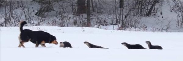 StyloDad Profile Banner