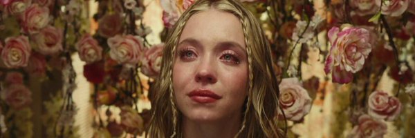 danielsogay Profile Banner