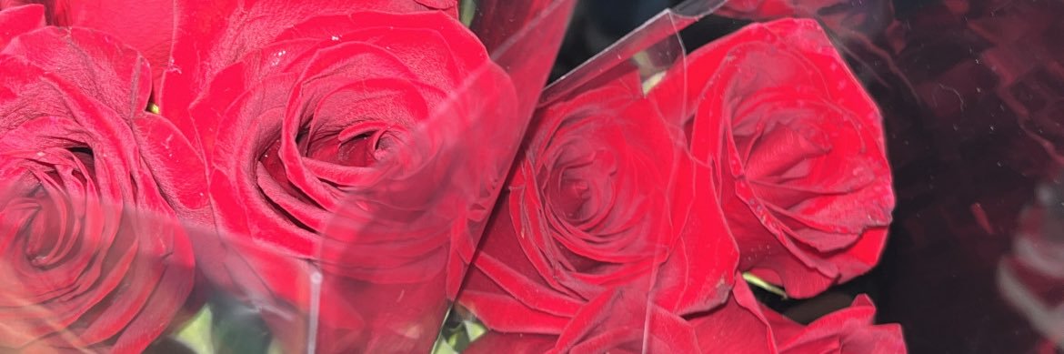 dreAIyannaaa's profile banner image