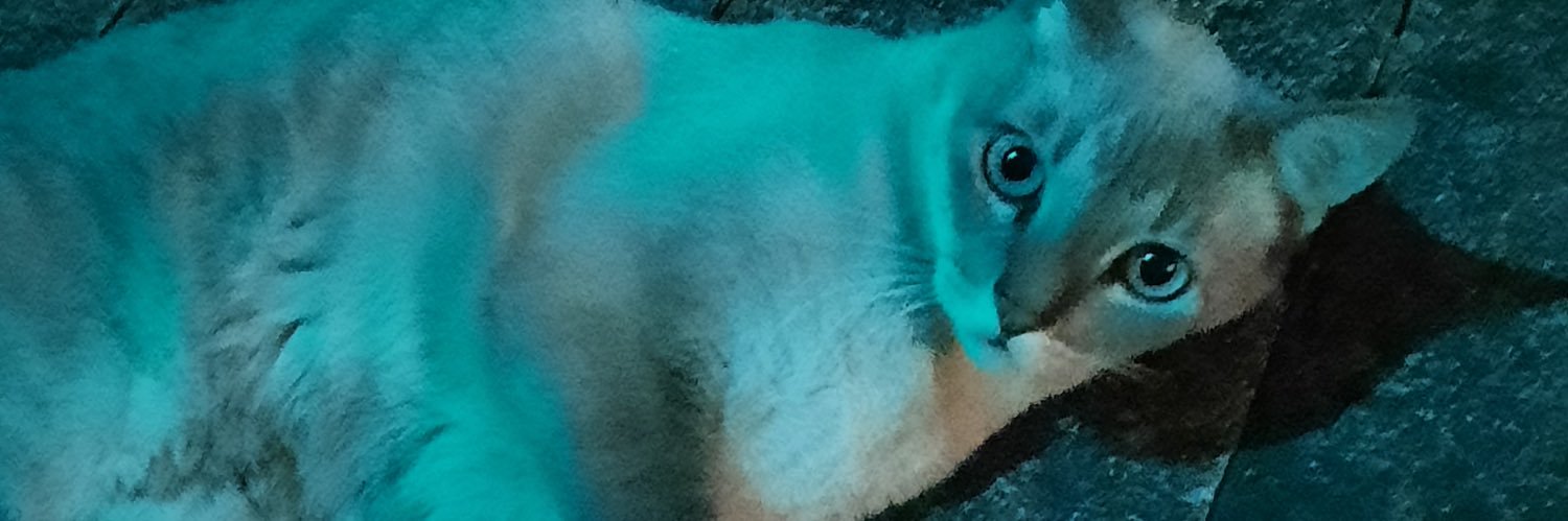 bea. banner