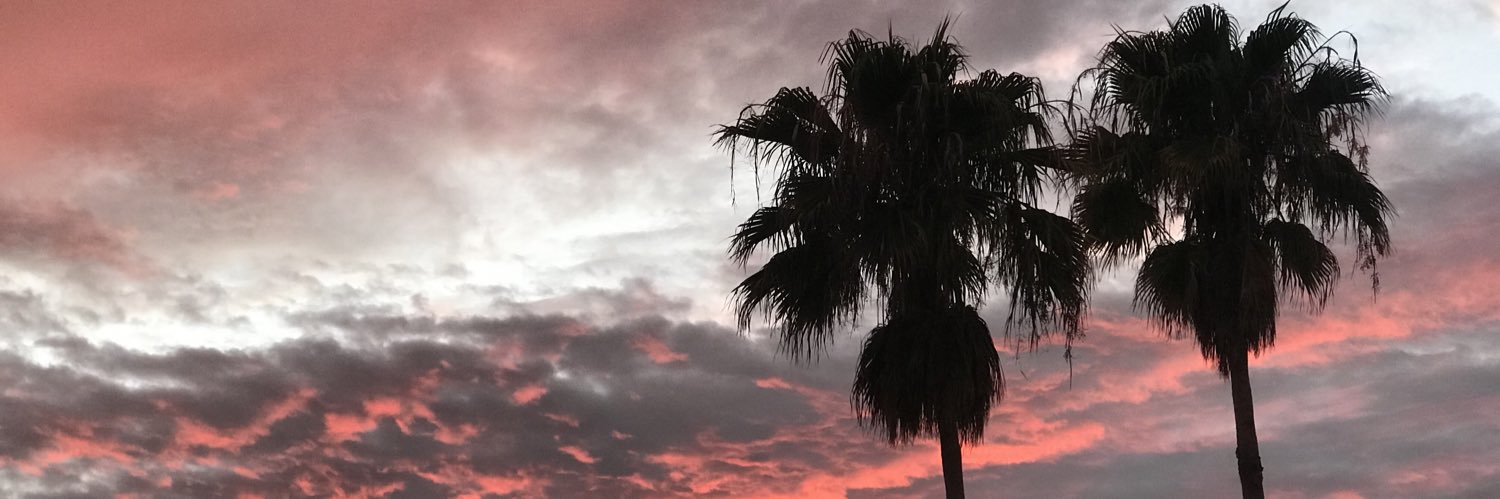 amyflx's profile banner image