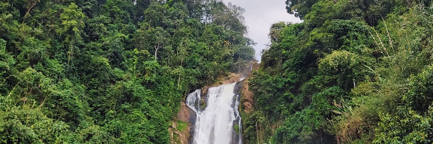 Akinaraa_x banner