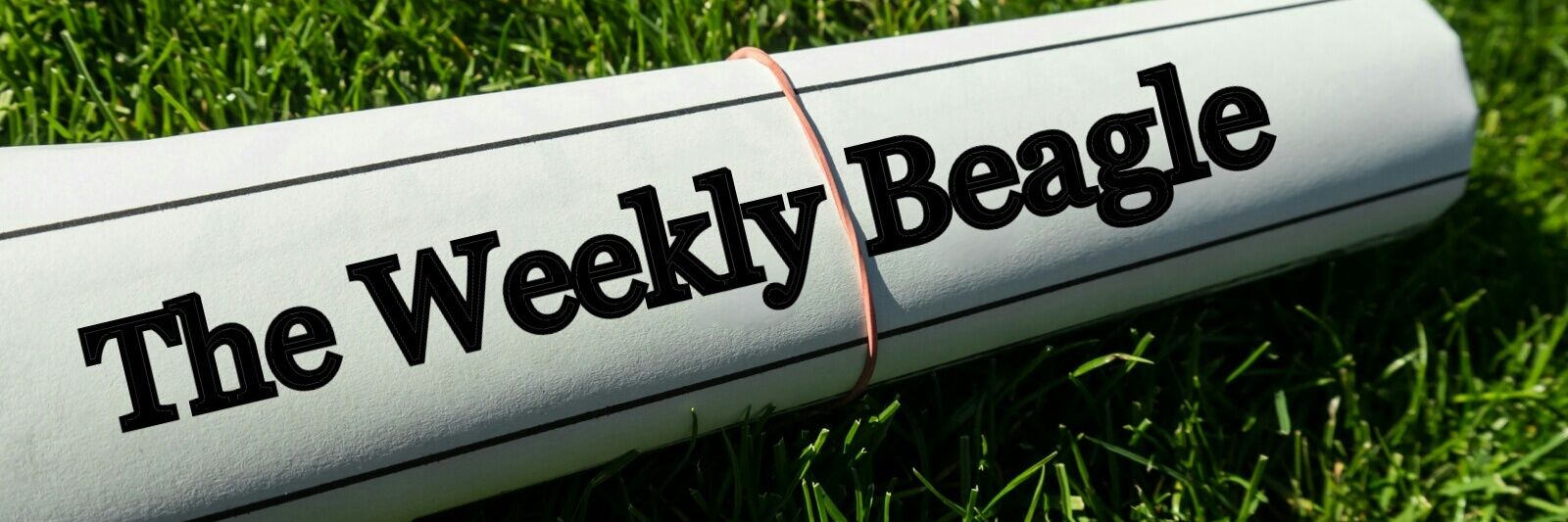 The Weekly Beagle banner