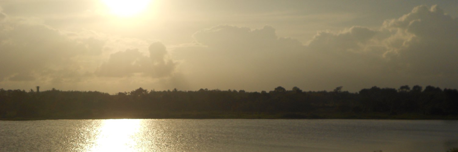 rawr ✮ banner
