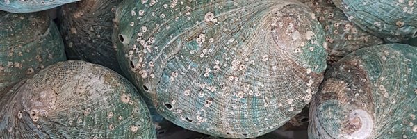 MARISLabs Profile Banner