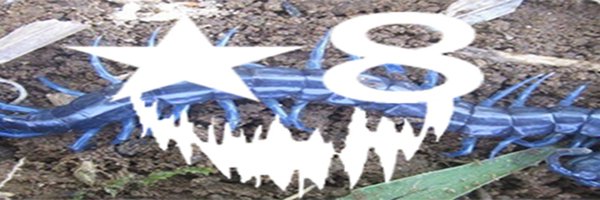 holo22k Profile Banner