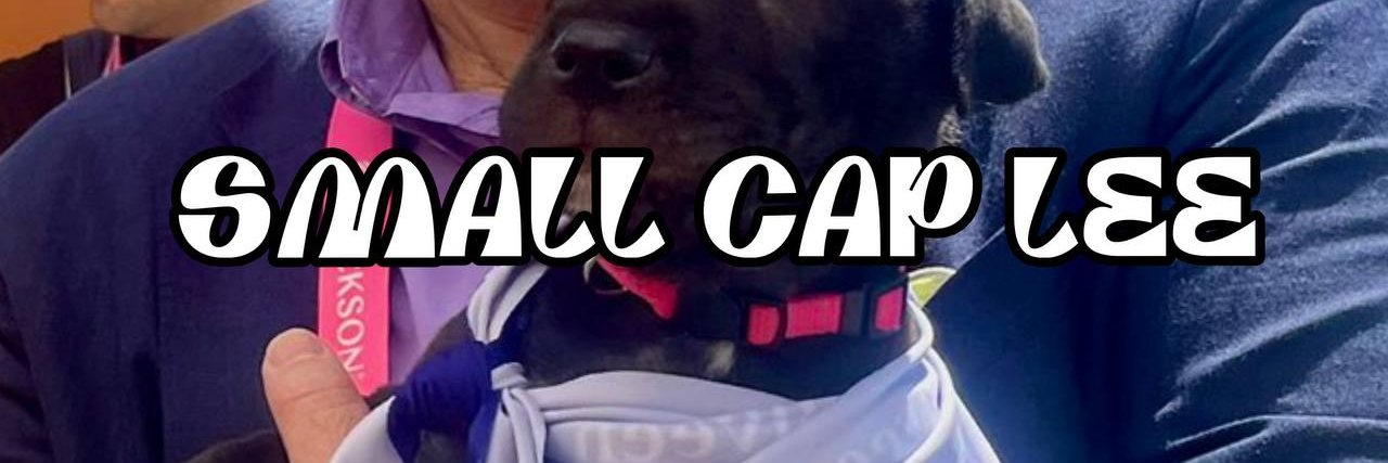 SmallCapLee's profile banner image