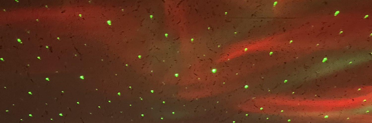 りっちゃんとぶっちょと古澤。 banner