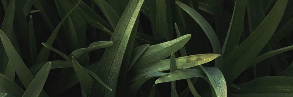 shinyeeuu's profile banner image