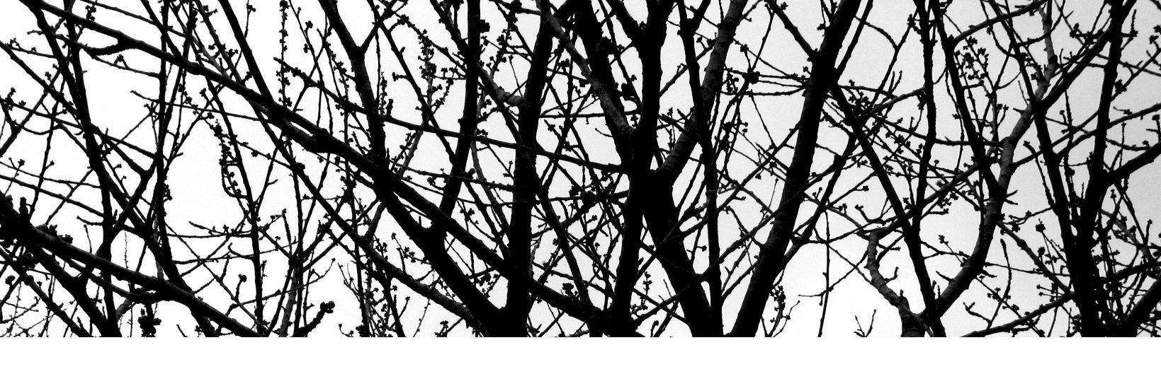 mariaqqch's profile banner image