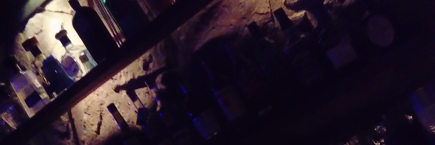 ilseSujhey's profile banner image