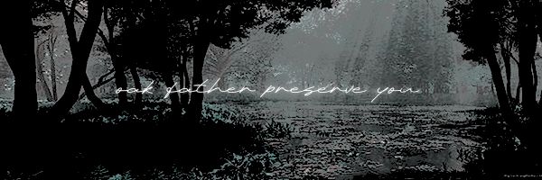 —THE BEAR ʕ⁠·⁠ᴥ⁠·⁠ʔ banner