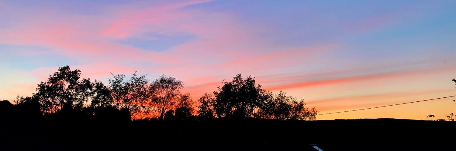 Miriam Fitzsimons banner