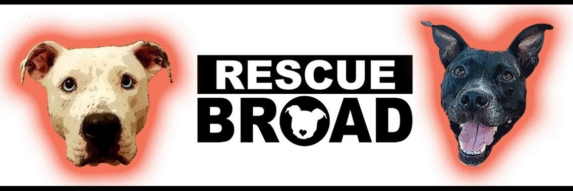 RescueBroad's profile banner image