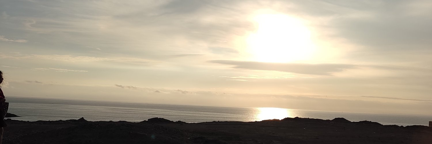 steysiet's profile banner image