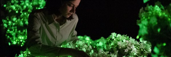 light_bio Profile Banner