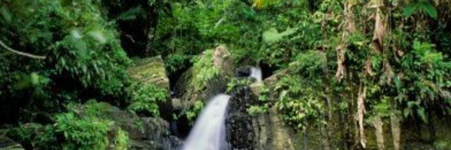شمس banner