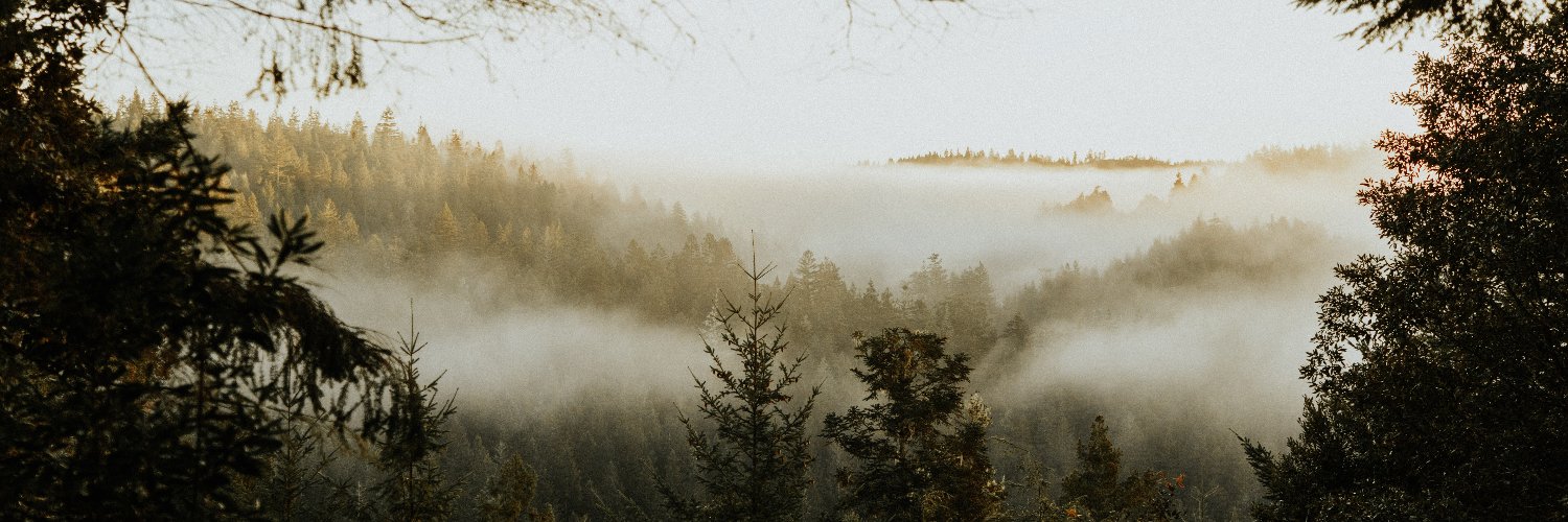 ydulb's profile banner image