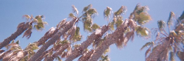 julianderstands Profile Banner