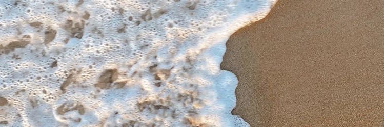 pauladgtrrez's profile banner image