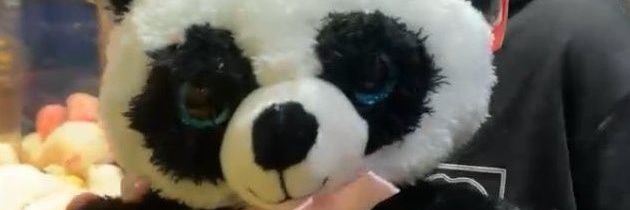 Alexaypg's profile banner image