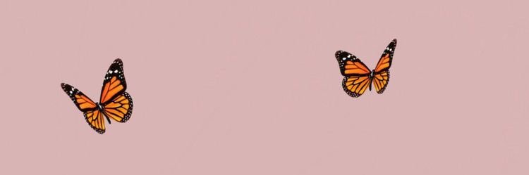 nuurr___'s profile banner image