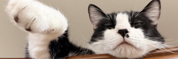 whiskeyhacker Profile Banner