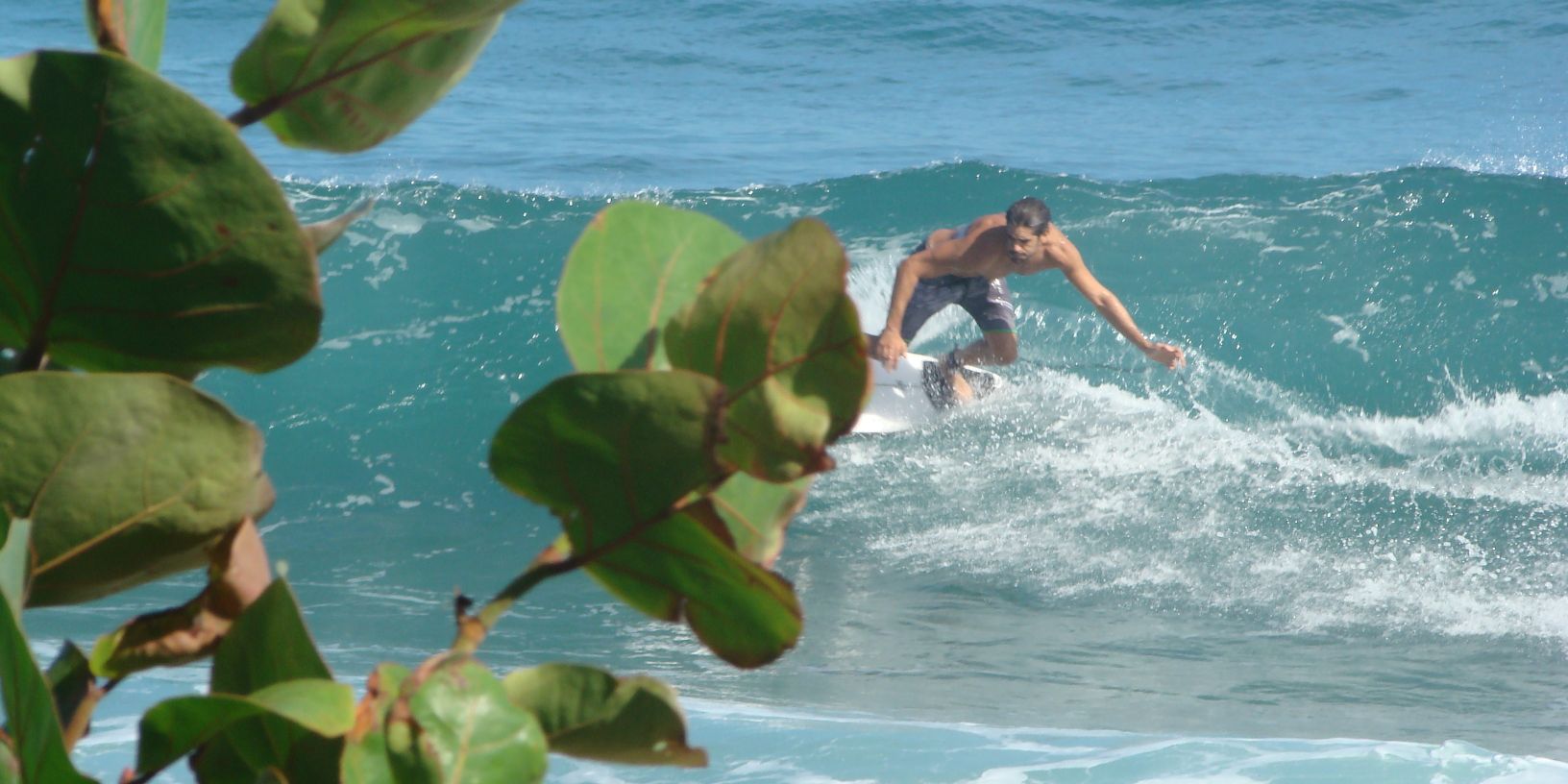 devsurf's profile banner image