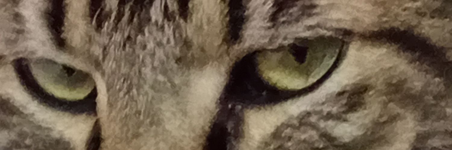 frktandy's profile banner image