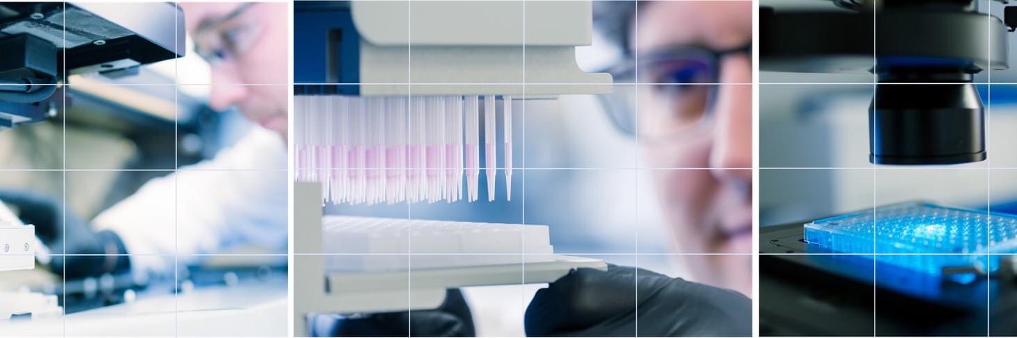 MisvikBiology banner