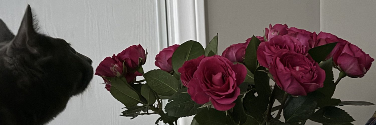 HostileAmber's profile banner image